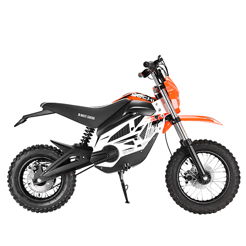 Электромотоцикл WHITE SIBERIA SOCHI 1300W. Фото 18