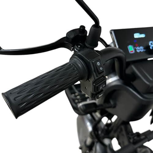 электротрицикл LS-CO A1. Фото 2