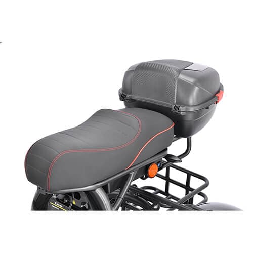 Электротрицикл WHITE SIBERIA PRO TRIKE 3000W. Фото 5