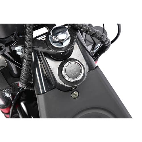 Электротрицикл WHITE SIBERIA PRO TRIKE 3000W. Фото 7